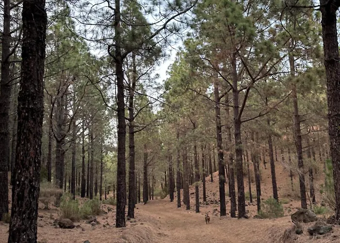 Zulia Suites, Masca, Teide, Gigantes, Excursions, Ac, Wifi-6 Daire