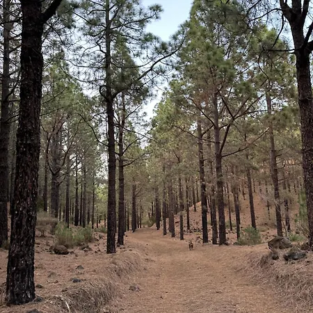 Zulia Suites, Masca, Teide, Gigantes, Excursions, Ac, Wifi-6 Апартаменты